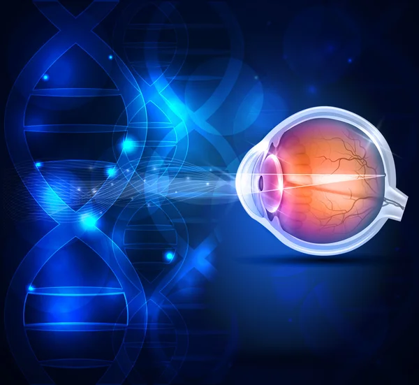 Anatomie van het gezonde oog abstracte wetenschappelijke achtergrond — Stockvector