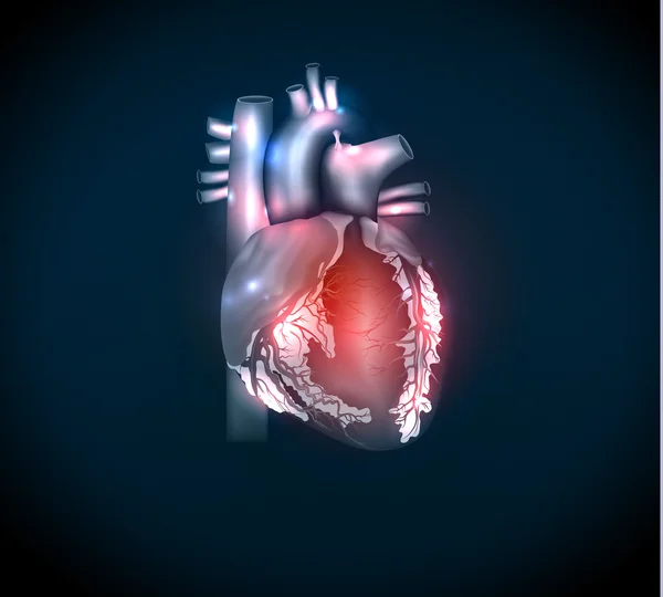 Helles menschliches Herz auf blauem Hintergrund — Stockvektor