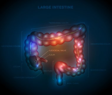 Kalın bağırsak soyut mavi tasarım