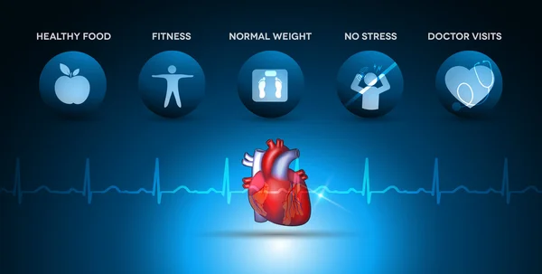 Cardiologia icone dell'assistenza sanitaria e anatomia cardiaca — Vettoriale Stock