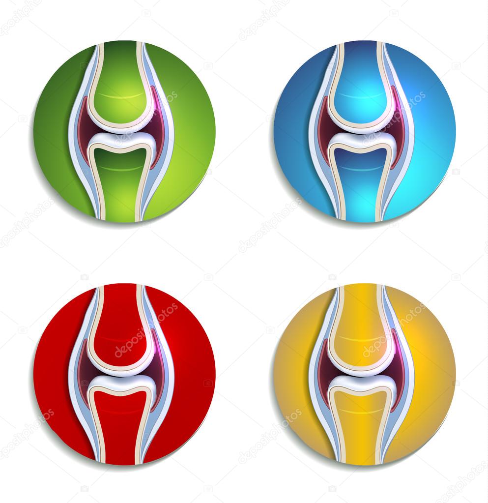 Abstract colorful joint anatomy icons set