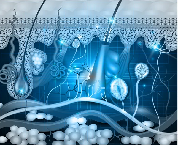 Anatomia della pelle astratto sfondo blu — Vettoriale Stock