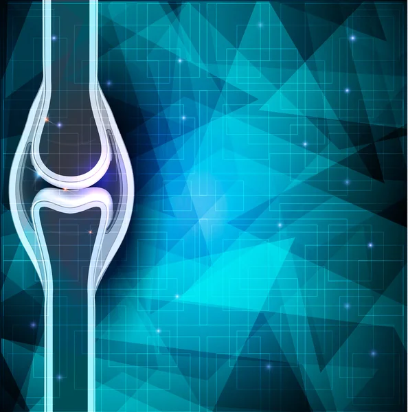 Human joint anatomy abstract background. — Stock Vector