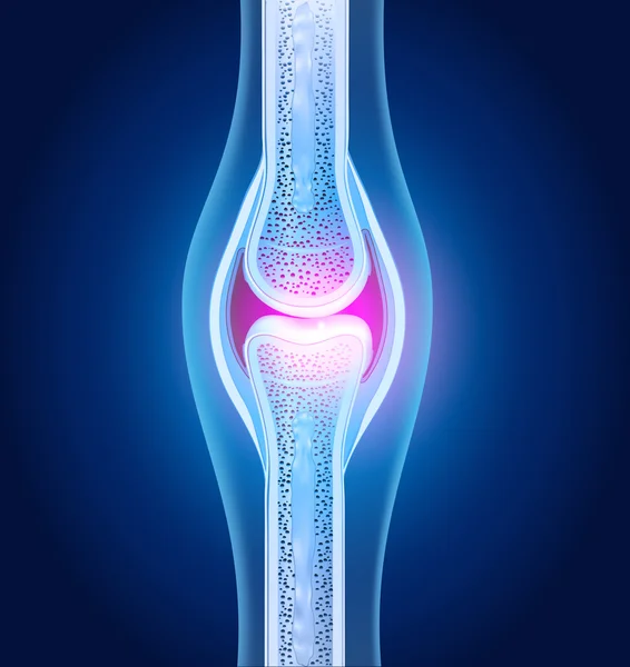 Normalny anatomia stawu niebieski streszczenie — Wektor stockowy