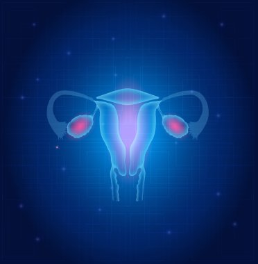 Uterus and ovaries anatomy blue background clipart