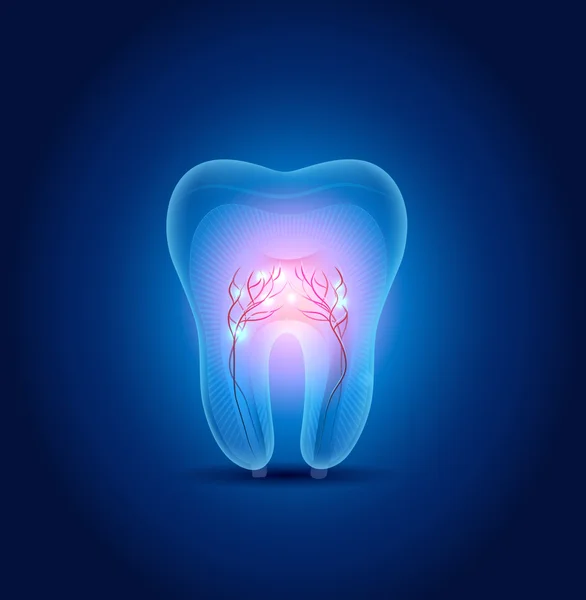 1 311 Dental X Ray Vector Images Free Royalty Free Dental X Ray Vectors Depositphotos 1 311 Dental X Ray Vector Images Free Royalty Free Dental X Ray Vectors Depositphotos