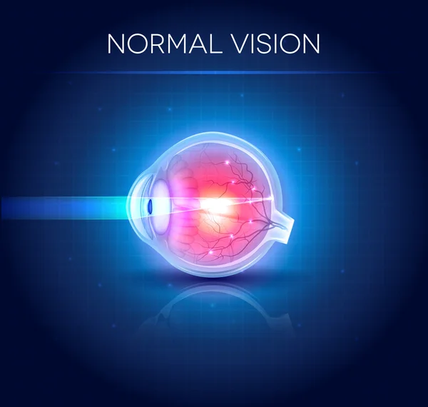 Penglihatan mata normal. Latar belakang biru terang - Stok Vektor