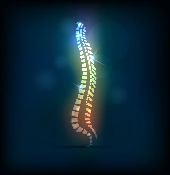 Colorida coluna vertebral coluna vertebral, design brilhante — Vetor de Stock
