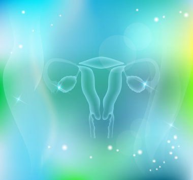 Female uterus beautiful transparent design clipart