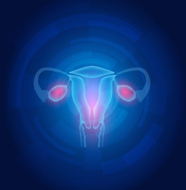 Female uterus abstract blue technology background clipart