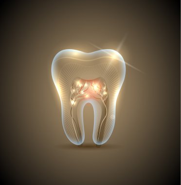 Beautiful golden transparent tooth with roots illustration clipart