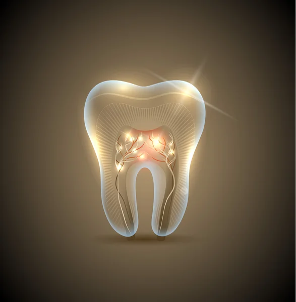 Bellissimo dente trasparente dorato con illustrazione delle radici — Vettoriale Stock