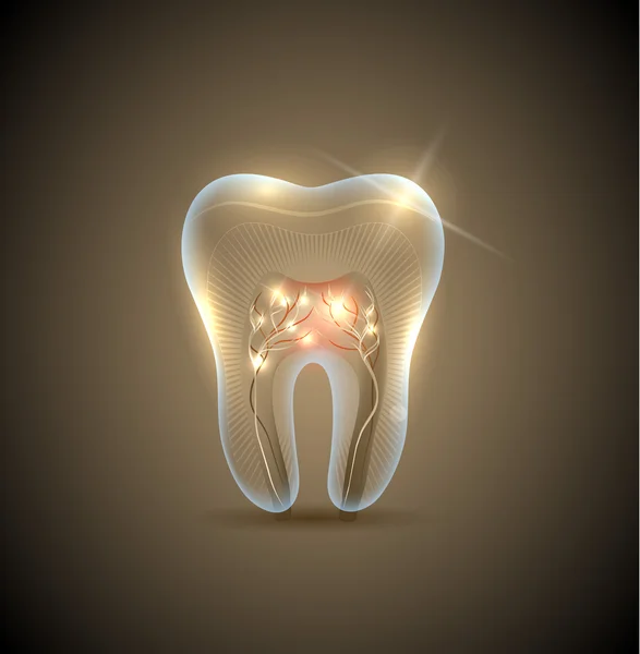 Schöner goldener, transparenter Zahn mit Wurzelabbildung — Stockvektor