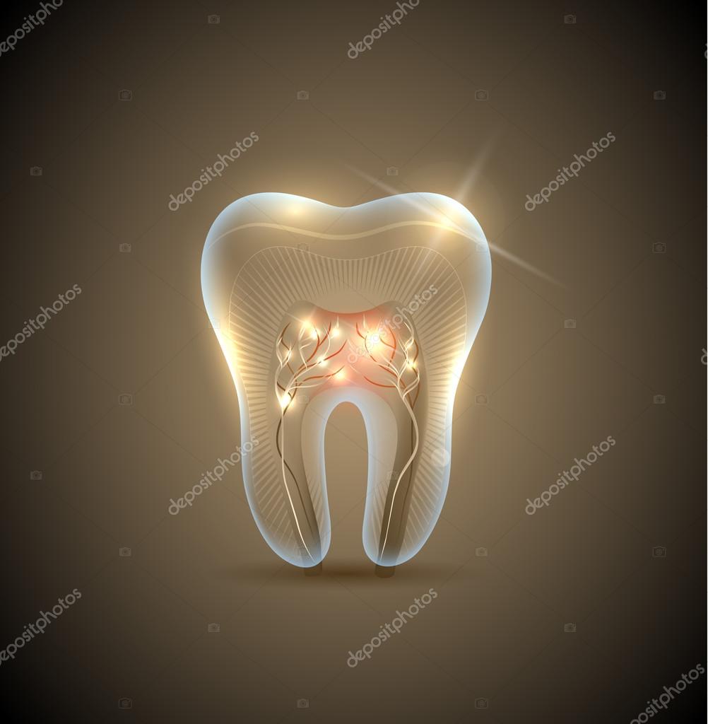 Beautiful golden transparent tooth with roots illustration. Healthy teeth care symbol.