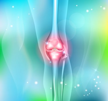 İnsan bacak ve diz eklem anatomi, arka plan