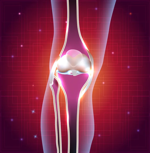 Normal knee joint abstract bright design — Stock Vector
