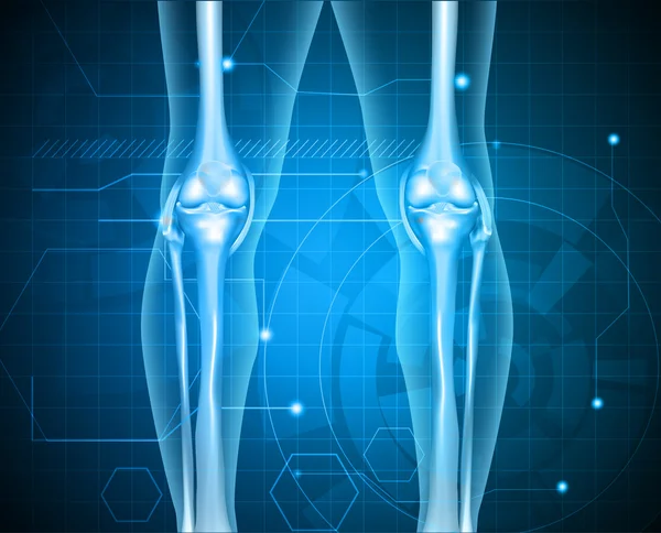 Pernas humanas saudáveis joelho fundo tecnologia articular — Vetor de Stock