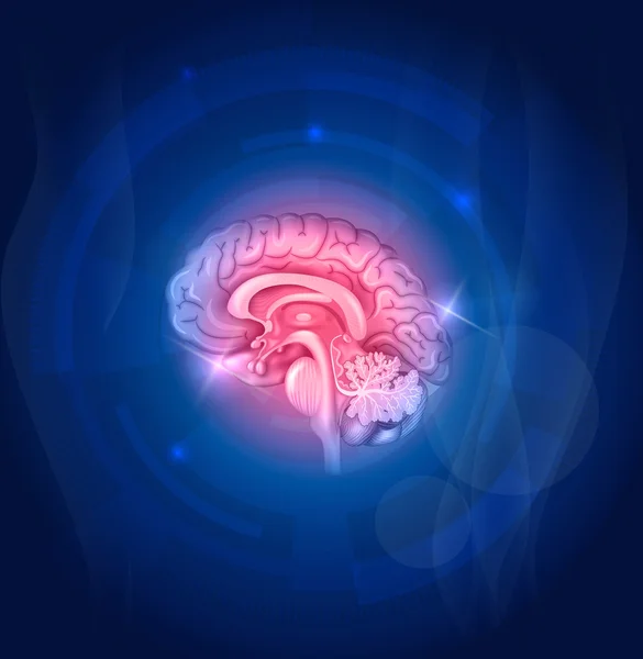 Ludzki mózg na niebieskim tle — Wektor stockowy