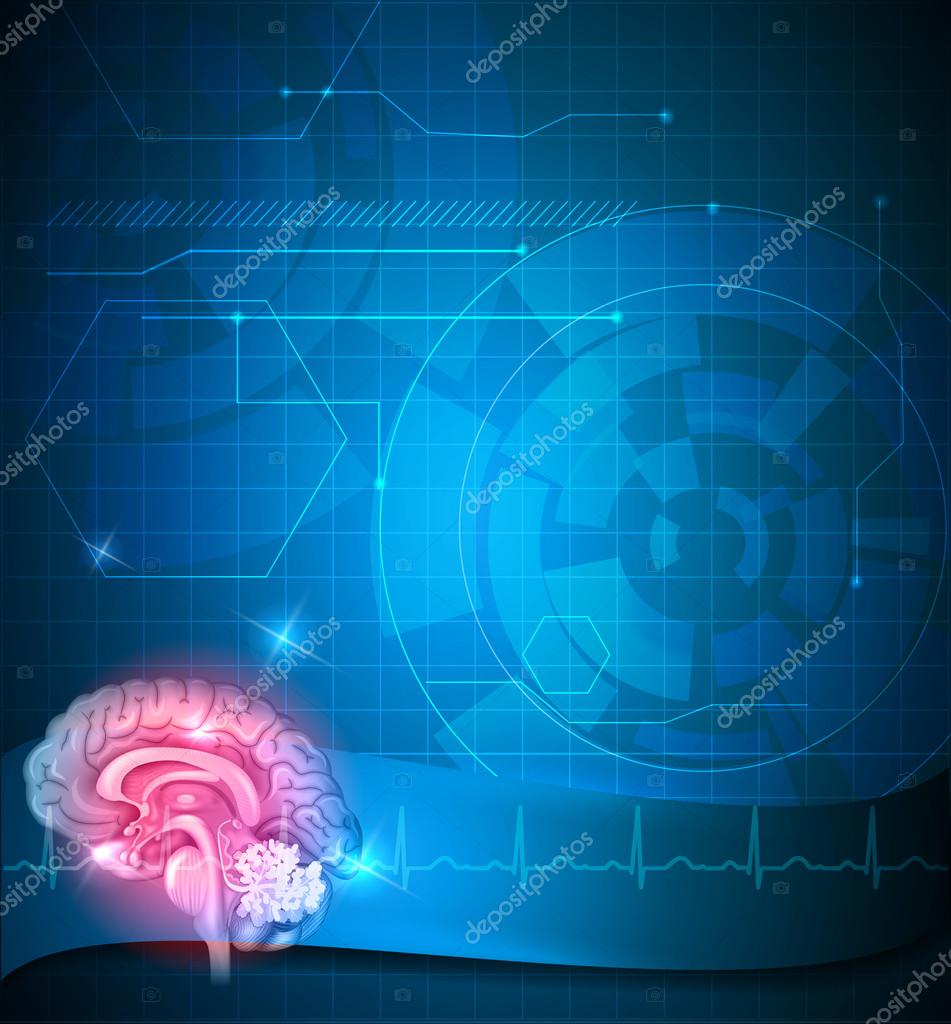 Human brain background Stock Vector Image by ©megija #85827454