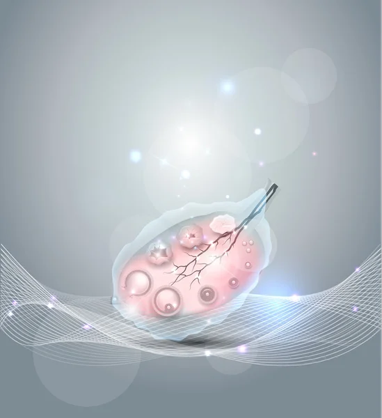 Vrouwelijke eierstok abstracte grijze achtergrond — Stockvector