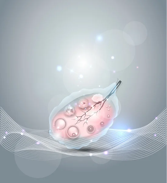 Human cells Vector Art Stock Images | Depositphotos