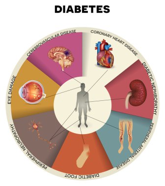 diabetes mellitus etkilenen organlar