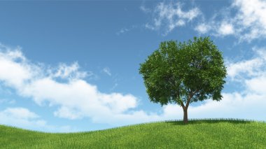 yeşil çayır üzerinde izole ağaç manzara
