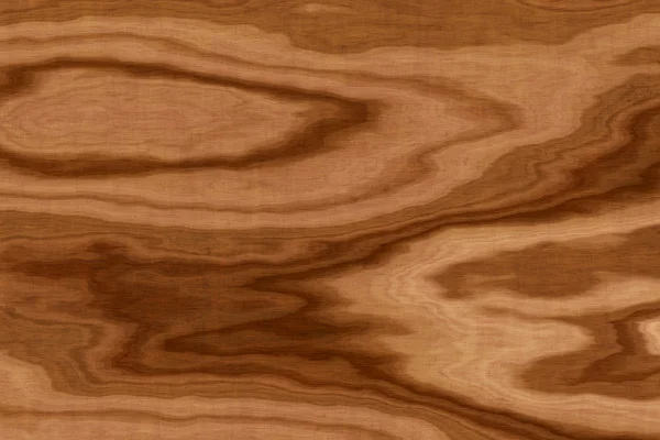 Fondo de textura de madera de oliva — Foto de Stock