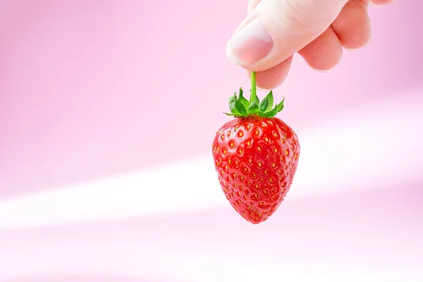 Eine Frau Hält Eine Erdbeere Auf Pastellrosa Pop Hintergrund Der — Stockfoto