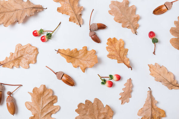 Autumn pattern composition. Acorns, golden aok leaves and red berries on white background. Autumn pattern design element. Flat lay, top view, copy space