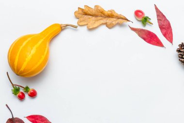 Sonbahar modeli. Sonbahar yaprakları, koniler, pamuk, balkabağı, kırmızı böğürtlenler beyaz üzerine. Sonbahar kompozisyonu, sonbahar konsepti. Düz konum, üst görünüm ve kopyalama alanı. Yarım daire