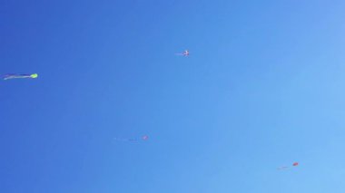 Güneşli bir günde rüzgarda dalgalanan uzun kuyruklu açık mavi gökyüzünde uçan ve sürüklenen renkli uçurtmalar, açık hava aktiviteleri, aile eğlencesi