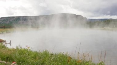 Çimenli bir jeotermal havuzda, gökyüzünün altında uzak dağlar bulunan Yellowstone Ulusal Parkı 'nda, kalın beyaz buhar yükseliyor.