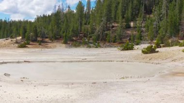 Yellowstone Ulusal Parkı 'ndaki orman tepeleriyle çevrili hidrotermal havuzda kaynayan jeotermal çamur havuzu. Hidrotermal havza..