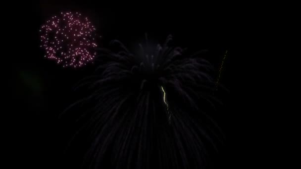 Exibição de fogos de artifício em várias cores brilhantes — Vídeo de Stock