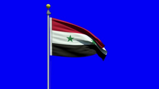 Flagge Syriens schwenken — Stockvideo