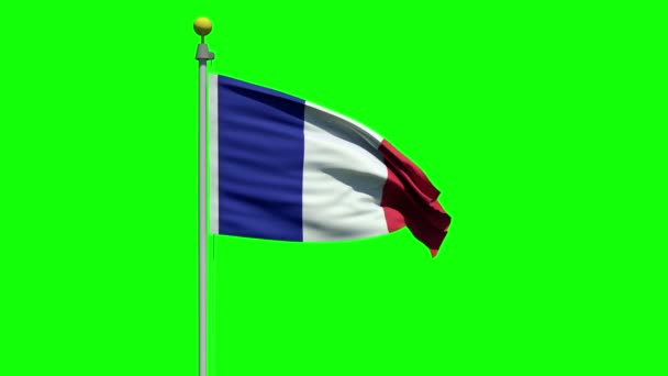 Κυματιστή σημαία της Γαλλίας — Αρχείο Βίντεο