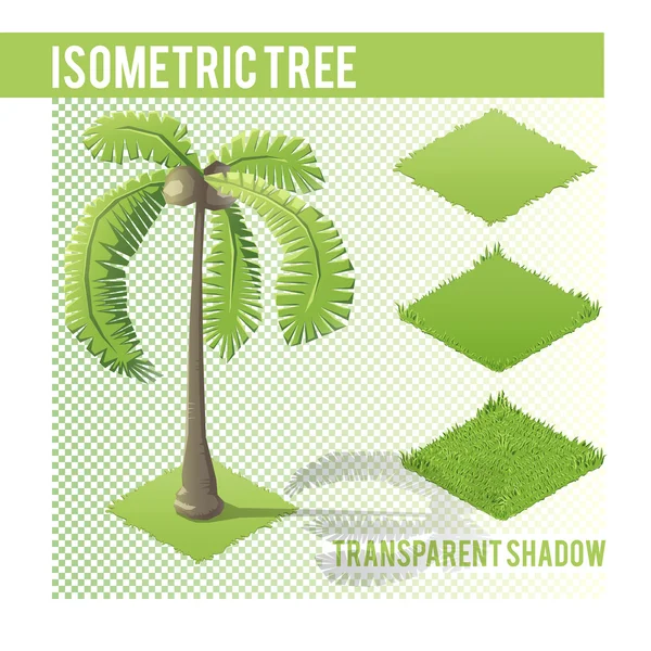 İzometrik palmiye ağacı — Stok Vektör