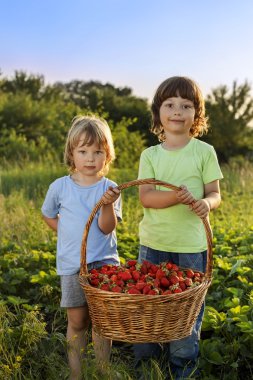 neşeli çocuk ile meyve sepeti