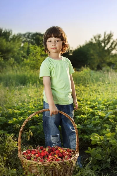 neşeli çocuk ile meyve sepeti