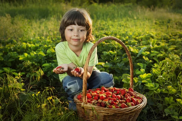 Fröhlicher Junge mit einem Korb voller Beeren — Stockfoto