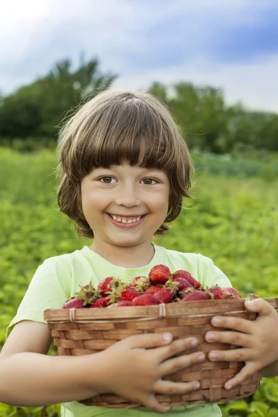 Vrolijke jongen met mandje met bessen — Stockfoto