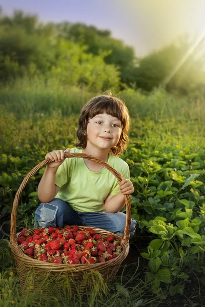 Vrolijke jongen met mandje met bessen — Stockfoto