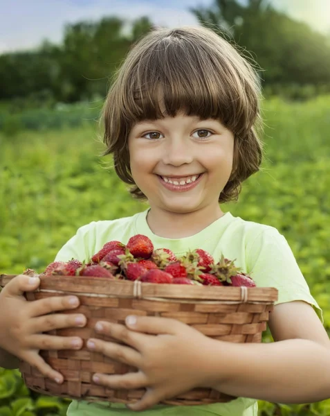 Vrolijke jongen met mandje met aardbeien — Stockfoto