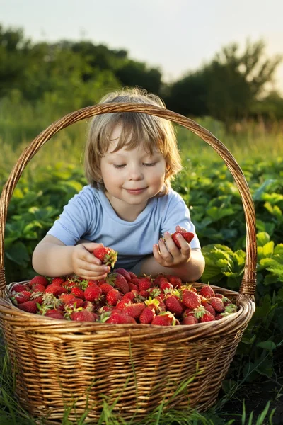 Vrolijke jongen met mandje met aardbeien — Stockfoto