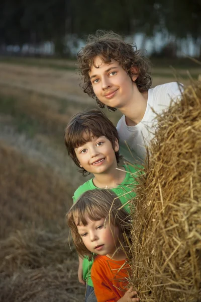 Three boys in a haystack in the field — Stock Photo, Image