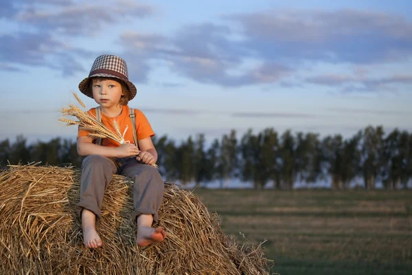 Boy in a haystack in the field — Stock Photo, Image