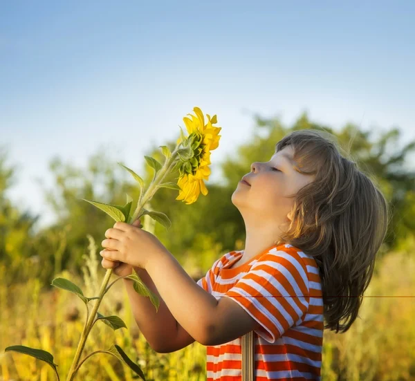 Glücklicher Junge mit Sonnenblume — Stockfoto