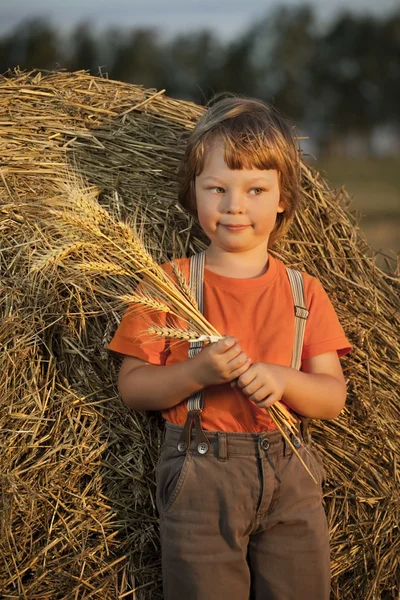 Pojke i en höstack i fältet — Stockfoto