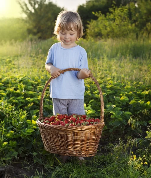 neşeli çocuk ile meyve sepeti